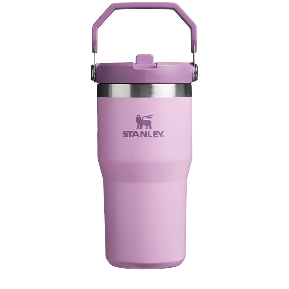 Stanley IceFlow™ Flip Straw Tumbler | 20 oz