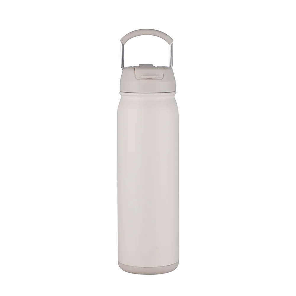 Slate 24 oz Bottle with Dual Lid
