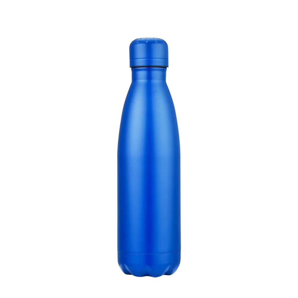 Slate 17 oz Vaccuum Bottle