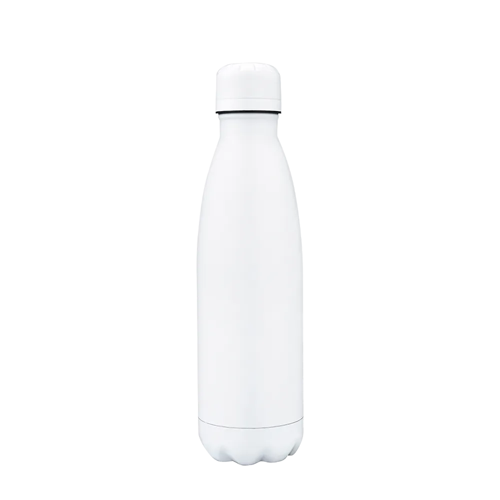 Slate 17 oz Vaccuum Bottle