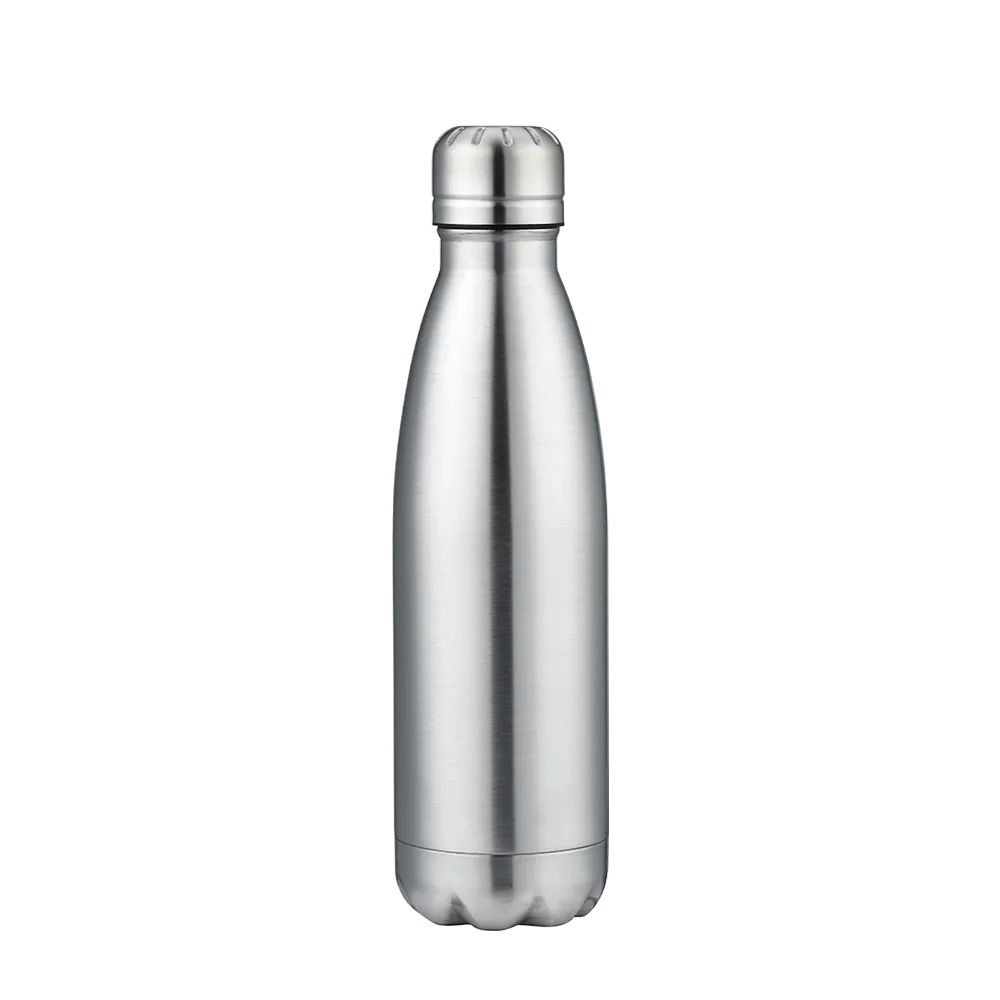 Slate 17 oz Vaccuum Bottle