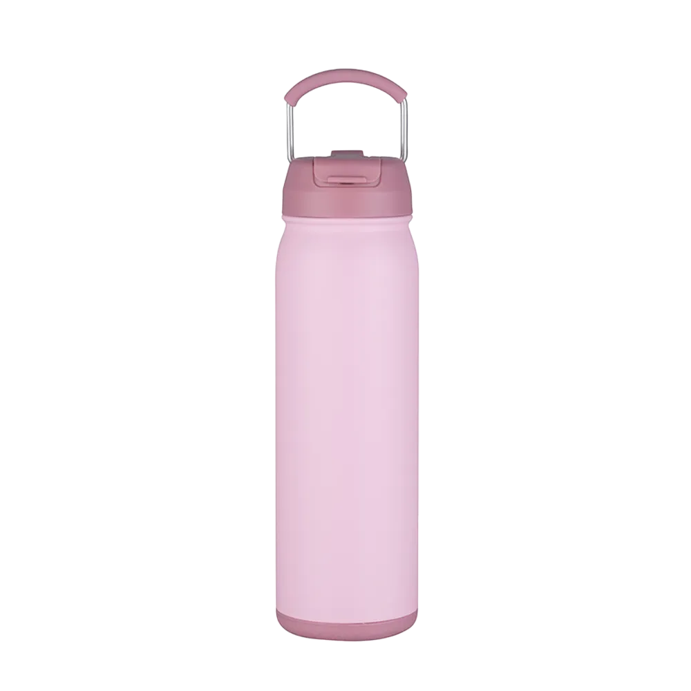 Slate 24 oz Bottle with Dual Lid