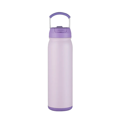 Slate 24 oz Bottle with Dual Lid