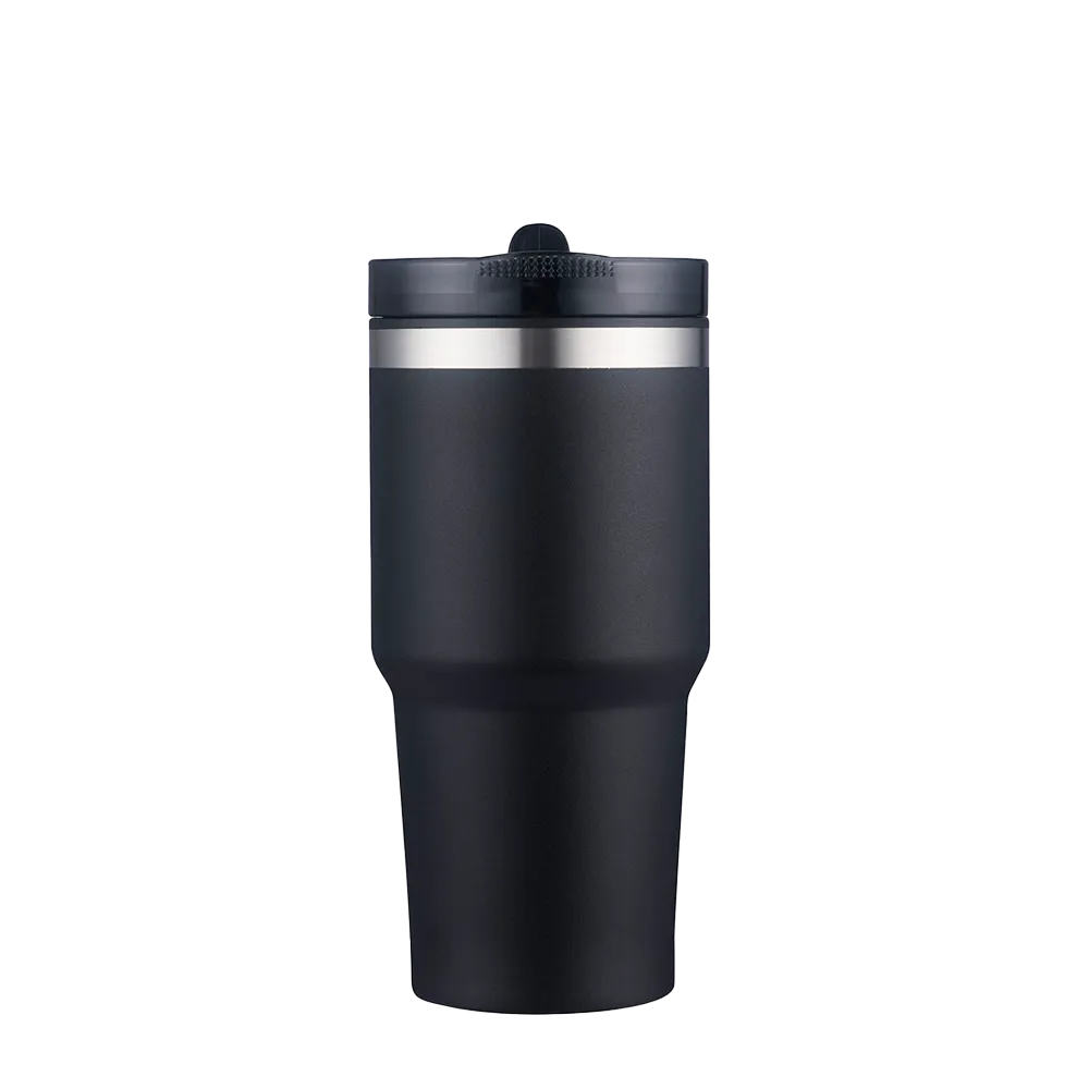 Slate 20 oz Tumbler with Straw Lid